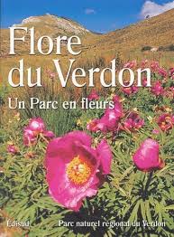 Flore du Verdon